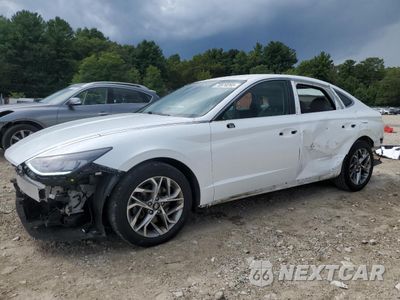 2020 HYUNDAI SONATA SEL 5NPEL4JA9LH026941 - główne zdjęcie licytacji z USA - miniatura