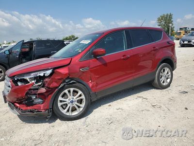 2019 FORD ESCAPE SE 1FMCU9GD2KUA19655 - główne zdjęcie licytacji z USA - miniatura