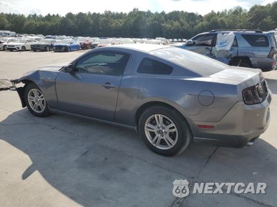 Drugie zdjęcie samochodu z przodu: 2014 FORD MUSTANG VIN:1ZVBP8AMXE5317036 - miniatura