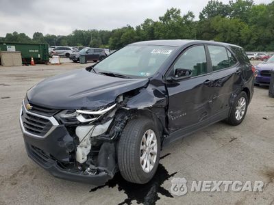 2020 CHEVROLET EQUINOX LS 3GNAXHEV0LS578882 - główne zdjęcie licytacji z USA - miniatura