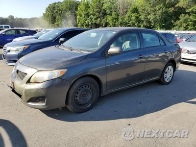 2010 TOYOTA COROLLA BASE 1NXBU4EE1AZ377886 - główne zdjęcie licytacji z USA - miniatura