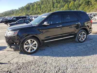 2019 FORD EXPLORER LIMITED 1FM5K8F8XKGB10362 - główne zdjęcie licytacji z USA - miniatura