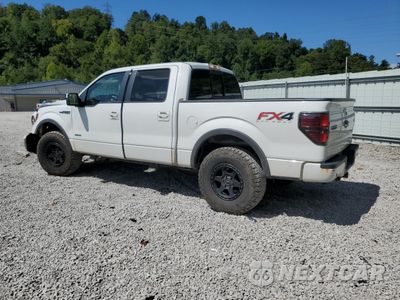 Drugie zdjęcie samochodu z przodu: 2013 FORD F150 SUPERCREW VIN:1FTFW1ET8DFA44770 - miniatura