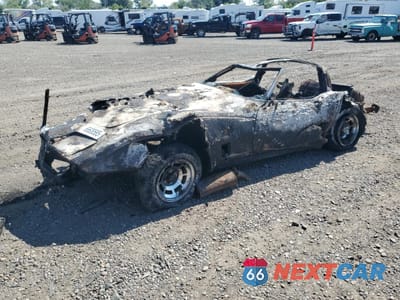 1981 CHEVROLET CORVETTE 1G1AY8763BS430658 - główne zdjęcie licytacji z USA - miniatura