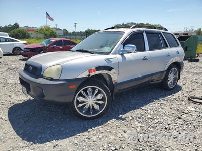 2001 HYUNDAI SANTA FE GLS KM8SC83D31U029432 - główne zdjęcie licytacji z USA - miniatura