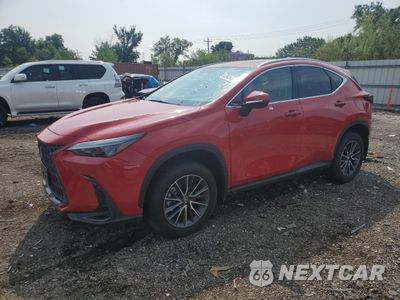 2025 LEXUS NX 350 BASE 2T2AGCEZ4SC078424 - główne zdjęcie licytacji z USA - miniatura