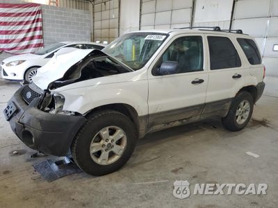 2006 FORD ESCAPE XLT 1FMYU93156KA32449 - główne zdjęcie licytacji z USA - miniatura