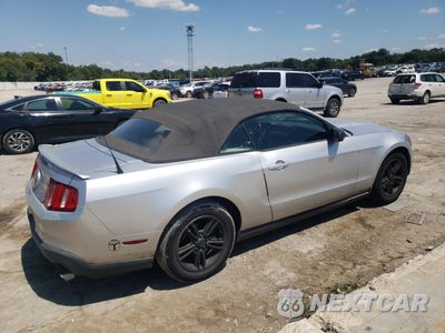 Trzecie zdjęcie samochodu z tyłu: 2011 FORD MUSTANG VIN:1ZVBP8EM7B5166680 - miniatura