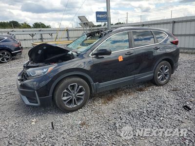 2022 HONDA CR-V EX 5J6RW1H54NA012837 - główne zdjęcie licytacji z USA - miniatura