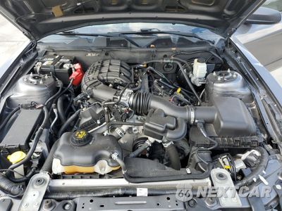 Zdjęcie 11 z 14 samochodu: 2014 FORD MUSTANG VIN:1ZVBP8AMXE5317036 - miniatura
