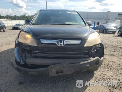 Piąte zdjęcie samochodu w środku: 2007 HONDA CR-V EXL VIN:JHLRE48797C048738 - miniatura