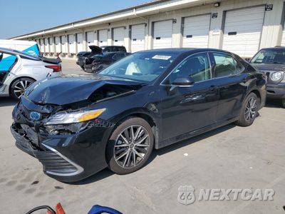 2023 TOYOTA CAMRY XLE 4T1F31AK7PU602352 - główne zdjęcie licytacji z USA - miniatura