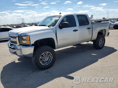 2013 CHEVROLET SILVERADO K1500 LS 3GCPKREAXDG309376 - główne zdjęcie licytacji z USA - miniatura