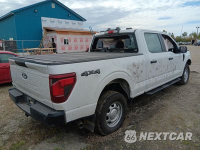 Trzecie zdjęcie samochodu z tyłu: 2024 FORD F150 XL VIN:1FTFW1L82RKE49018 - miniatura