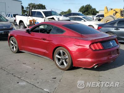 Drugie zdjęcie samochodu z przodu: 2016 FORD MUSTANG VIN:1FA6P8AM6G5281469 - miniatura