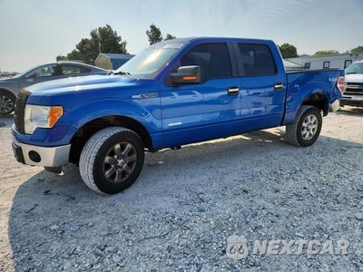 2013 FORD F150 1FTFW1ET1DKG27043 - główne zdjęcie licytacji z USA - miniatura