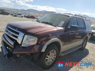 2010 FORD EXPEDITION EDDIE BAUER 1FMJU1J54AEB19291 - główne zdjęcie licytacji z USA - miniatura