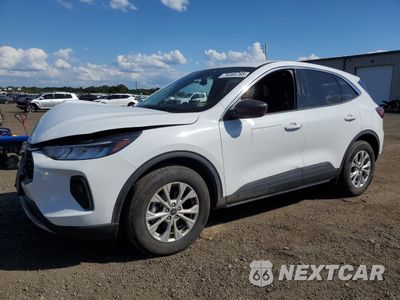 2023 FORD ESCAPE ACTIVE 1FMCU9GN2PUB05466 - główne zdjęcie licytacji z USA - miniatura
