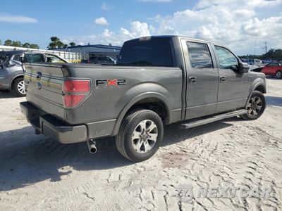 Trzecie zdjęcie samochodu z tyłu: 2010 FORD F150 SUPERCREW VIN:1FTFW1CVXAKE25284 - miniatura