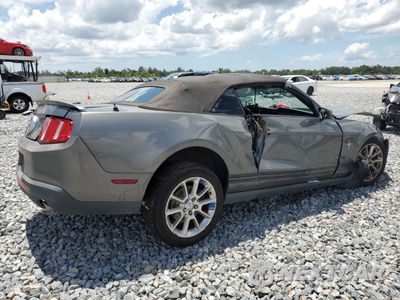 Trzecie zdjęcie samochodu z tyłu: 2010 FORD MUSTANG VIN:1ZVBP8EN1A5117708 - miniatura