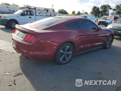 Trzecie zdjęcie samochodu z tyłu: 2016 FORD MUSTANG VIN:1FA6P8AM6G5281469 - miniatura