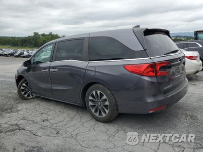 Drugie zdjęcie samochodu z przodu: 2021 HONDA ODYSSEY EXL VIN:5FNRL6H78MB026730 - miniatura