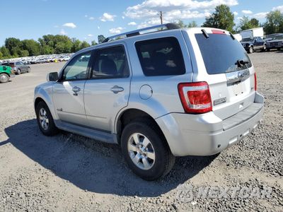 Drugie zdjęcie samochodu z przodu: 2010 FORD ESCAPE HYBRID VIN:1FMCU4K30AKC15394 - miniatura