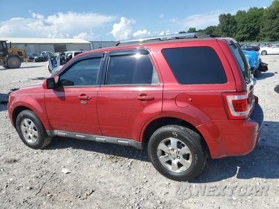 Drugie zdjęcie samochodu z przodu: 2011 FORD ESCAPE LIMITED VIN:1FMCU9EG8BKB81816 - miniatura