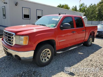 2009 GMC SIERRA K1500 3GTEK13C19G217593 - główne zdjęcie licytacji z USA - miniatura