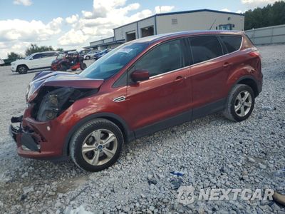 2014 FORD ESCAPE SE 1FMCU9GX5EUC90966 - główne zdjęcie licytacji z USA - miniatura