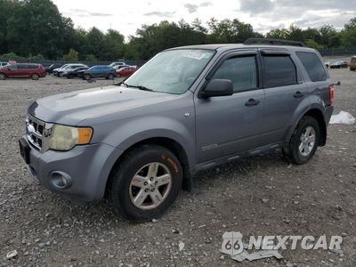 2008 FORD ESCAPE XLT 1FMCU03148KA75866 - główne zdjęcie licytacji z USA - miniatura
