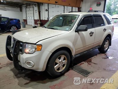 2011 FORD ESCAPE XLT 1FMCU9D7XBKB17696 - główne zdjęcie licytacji z USA - miniatura