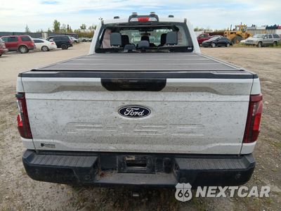 Zdjęcie 6 z 13 samochodu: 2024 FORD F150 XL VIN:1FTFW1L82RKE49018 - miniatura