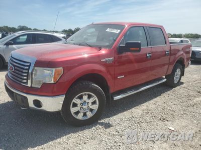 2012 FORD F150 SUPERCREW 1FTFW1ET4CFA71060 - główne zdjęcie licytacji z USA - miniatura