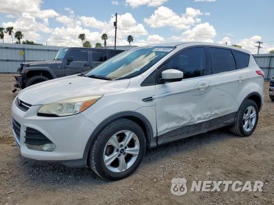 2014 FORD ESCAPE SE 1FMCU0GX9EUD16786 - główne zdjęcie licytacji z USA - miniatura