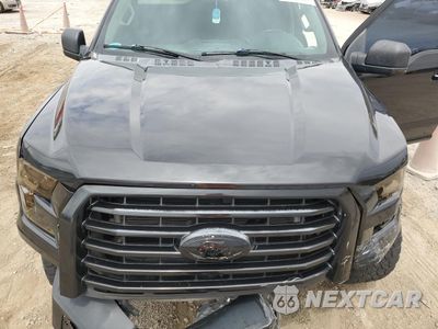 Zdjęcie 12 z 13 samochodu: 2015 FORD F150 SUPERCREW VIN:1FTFW1EG4FFB50347 - miniatura