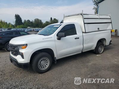 2024 CHEVROLET SILVERADO C1500 3GCNAAEK6RG105542 - główne zdjęcie licytacji z USA - miniatura