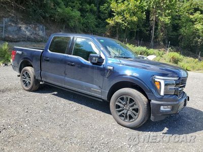 Czwarte zdjęcie samochodu z boku: 2025 FORD F150 PLATINUM VIN:1FTFW7LD9SFA14172 - miniatura