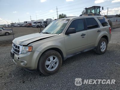 2012 FORD ESCAPE XLT 1FMCU0D71CKC67841 - główne zdjęcie licytacji z USA - miniatura