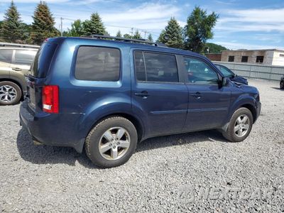 Trzecie zdjęcie samochodu z tyłu: 2010 HONDA PILOT EXL VIN:5FNYF4H52AB017667 - miniatura