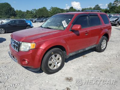 2011 FORD ESCAPE LIMITED 1FMCU9EG8BKB81816 - główne zdjęcie licytacji z USA - miniatura