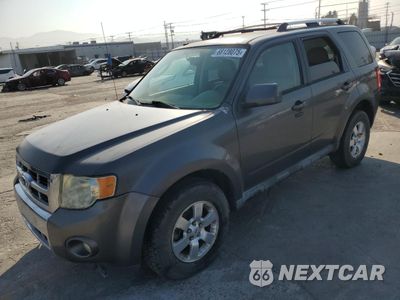 2011 FORD ESCAPE LIMITED 1FMCU0E73BKA76290 - główne zdjęcie licytacji z USA - miniatura