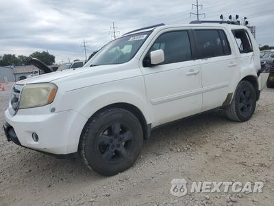 2010 HONDA PILOT EXL 5FNYF3H6XAB008931 - główne zdjęcie licytacji z USA - miniatura