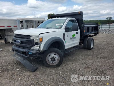 2021 FORD F550 SUPER DUTY 1FDUF5HN1MDA05408 - główne zdjęcie licytacji z USA - miniatura