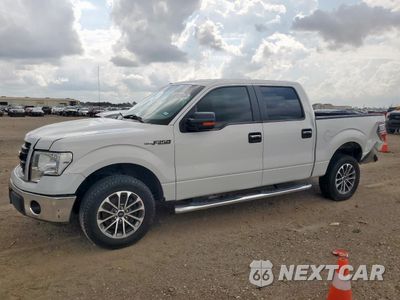 2014 FORD F150 SUPERCREW 1FTFW1CF0EFC09760 - główne zdjęcie licytacji z USA - miniatura