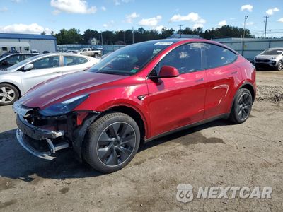 2024 TESLA MODEL Y 7SAYGDEEXRA280762 - główne zdjęcie licytacji z USA - miniatura