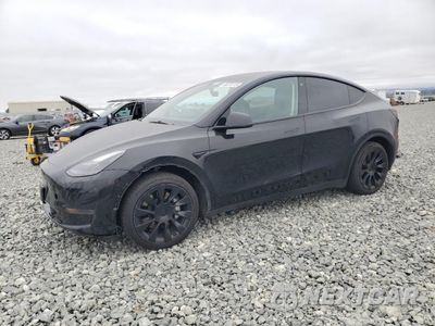 2023 TESLA MODEL Y 7SAYGDEE3PF691274 - główne zdjęcie licytacji z USA - miniatura