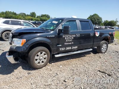 2013 FORD F150 SUPERCREW 1FTFW1ET2DKE73281 - główne zdjęcie licytacji z USA - miniatura