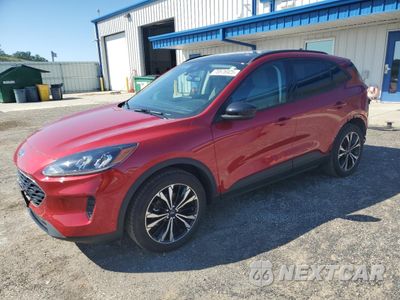 2021 FORD ESCAPE SE 1FMCU9G63MUA62938 - główne zdjęcie licytacji z USA - miniatura