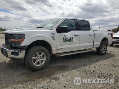2024 FORD F150 XLT 1FTFW3LD2RFA44231 - główne zdjęcie licytacji z USA - miniatura